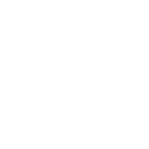 Cognitive Development