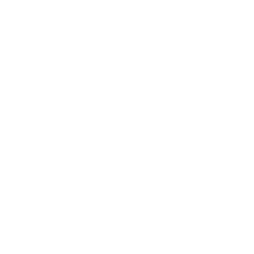 Language Development